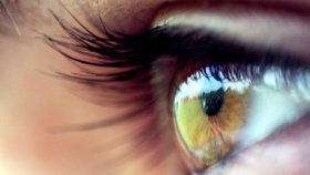 zdroj: archiv Metropolu