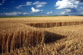Kliknutím zvětšíte obrázek