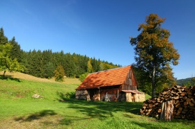 zdroj: archiv Metropolu