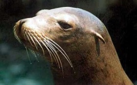 zdroj: archiv Metropolu