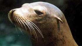 zdroj: archiv Metropolu