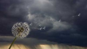 zdroj: archiv Metropolu