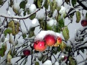 zdroj: archiv Metropolu