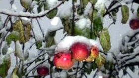 zdroj: archiv Metropolu