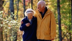 zdroj: archiv Metropolu