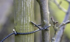 zdroj: dumazahrada.cz