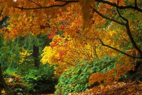 zdroj: archiv Metropolu