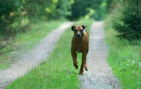 zdroj: archiv Metropolu