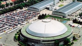 Ikona
