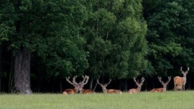 zdroj: Ernest Košár