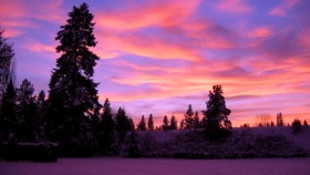 zdroj: archiv Metropolu