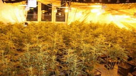 zdroj: archiv Metropolu