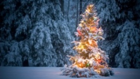 zdroj: archiv Metropolu