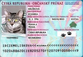 Kliknutím zvětšíte obrázek