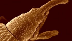 zdroj: archiv Metropolu