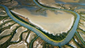 zdroj: wildernessgallery.com.au