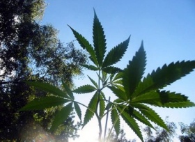 zdroj: archiv Metropolu