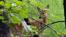zdroj: archiv Metropolu