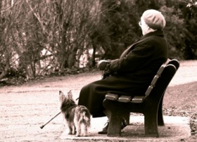 zdroj: archiv Metropolu