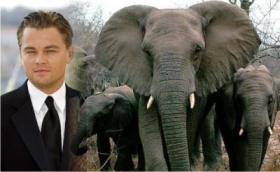 zdroj: zoenature.org