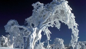 zdroj: archiv Metropolu