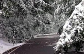 zdroj: archiv Metropolu