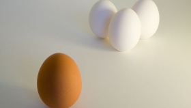 zdroj: archiv Metropolu