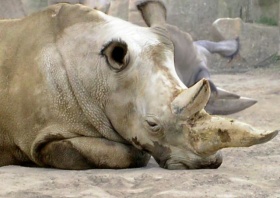 zdroj: archiv Metropolu