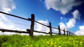 zdroj: archiv Metropolu