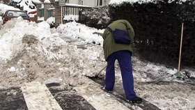 zdroj: archiv Metropolu