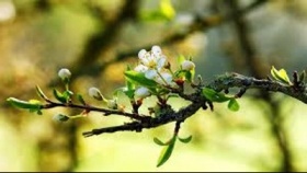 zdroj: archiv Metropolu