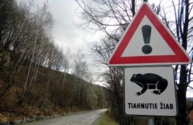 Kliknutím zvětšíte obrázek