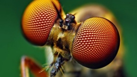 zdroj: pocketfullofprose.blogspot.com