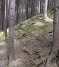 Kliknutím zvětšíte obrázek