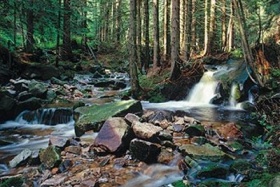 zdroj: hotel-suva.cz