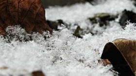 zdroj: archiv Metropolu