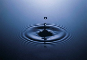 zdroj: archiv Metropolu