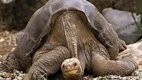 zdroj: archiv Metropolu