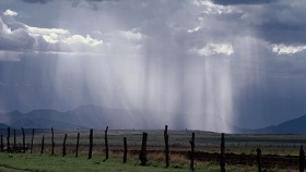 zdroj: archiv Metropolu