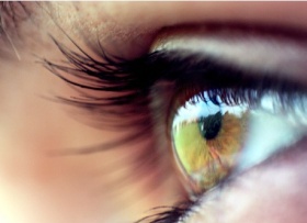 zdroj: archiv Metropolu