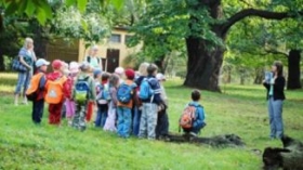 Kliknutím zvětšíte obrázek