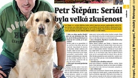 Doprovodný obrázek