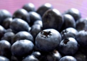 zdroj: archiv Metropolu