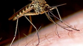 zdroj: archiv Metropolu