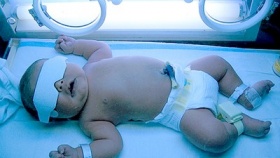 zdroj: archiv Metropolu