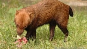 zdroj: archiv Metropolu