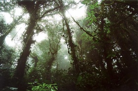 zdroj: archiv Metropolu