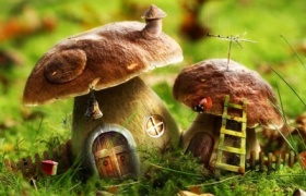 zdroj: fitness.makeupandbeauty.com