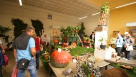 zdroj: archiv Metropolu