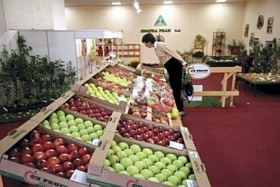 Kliknutím zvětšíte obrázek